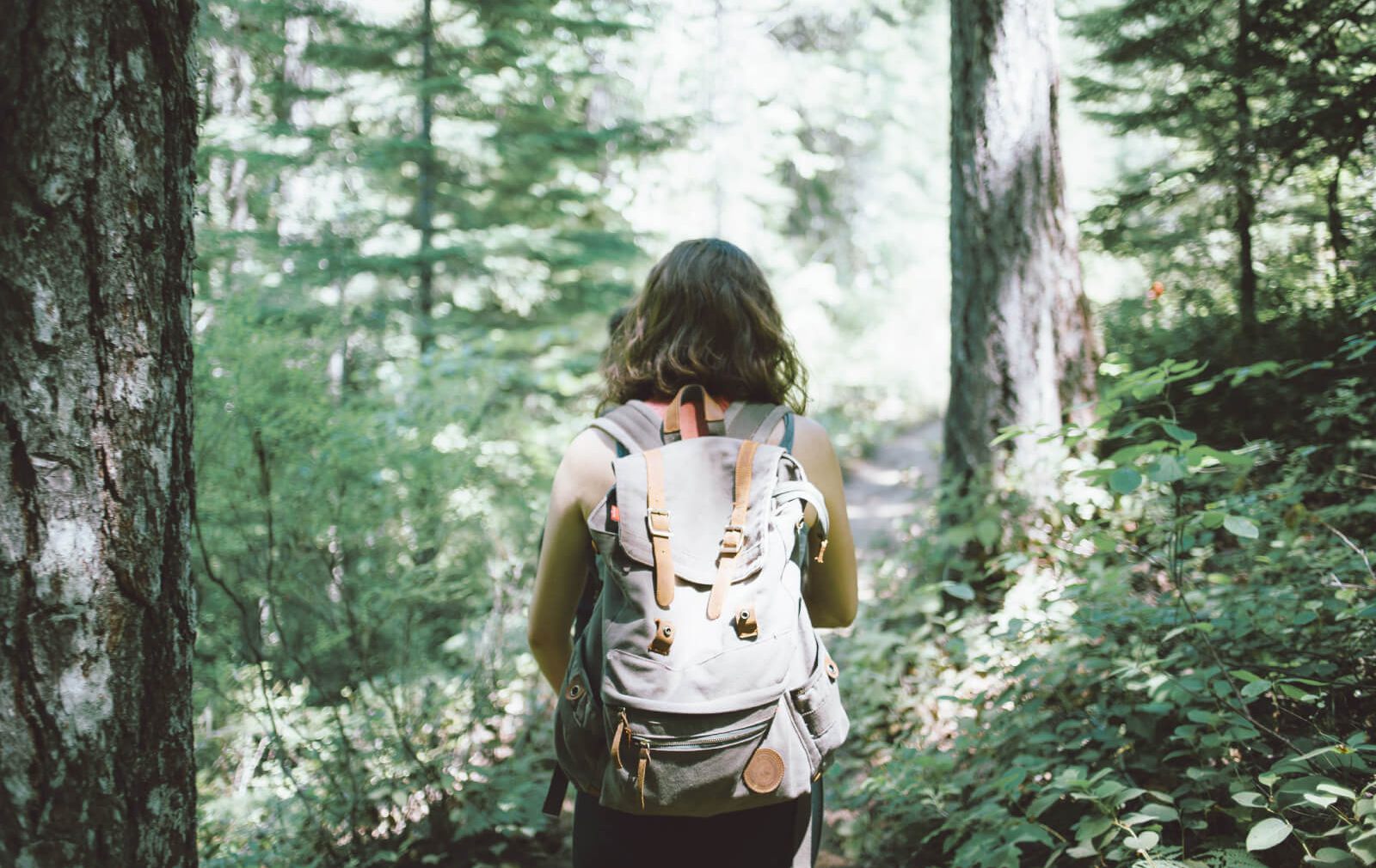 Hiking in Lichtenwald