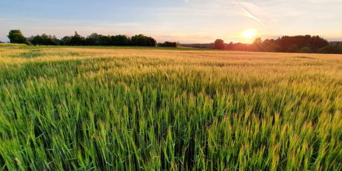 Naturnahe Apartments -  Lichtenwald, Landkreis Esslingen